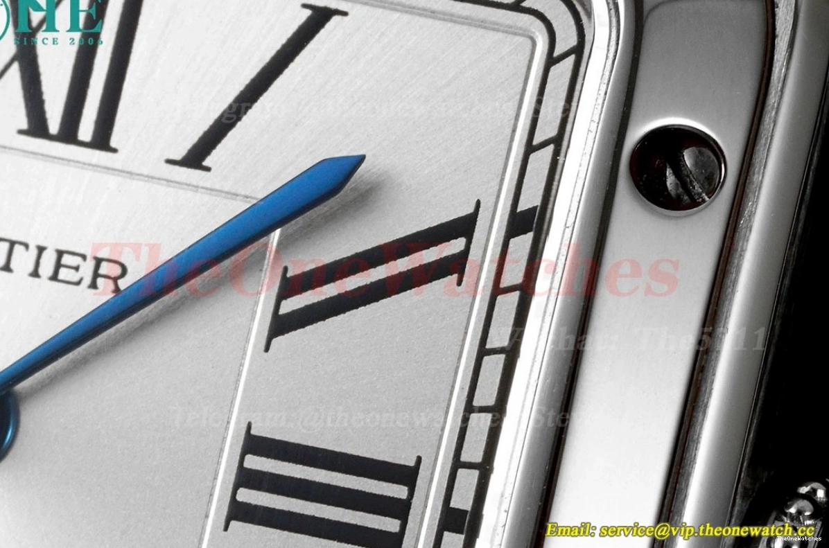 Dumont Dial Brown Silver Santos SS AF LE Quartz 0402